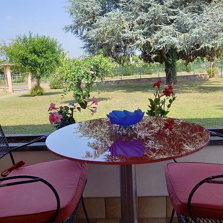 B&B Cedro Argentato Legnago Exterior foto